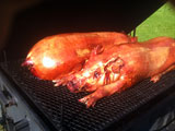 Two pigs roasted to perfection